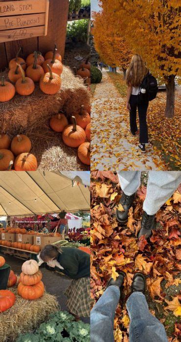 Autumn Mosaic Collages Capturing Fall S Tapestry Pumpkins I Take You