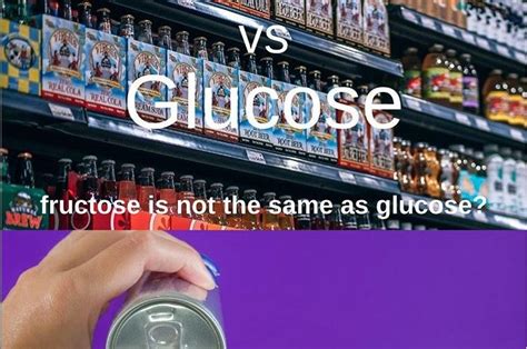 Fructose vs Glucose | Reverse Diabetes