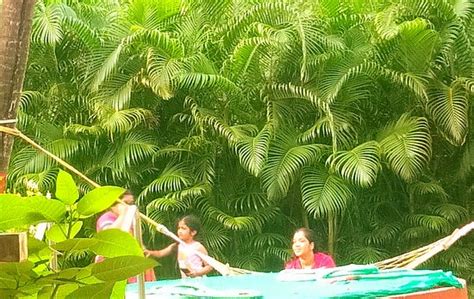 SINDHUJA RESORT - Guest house Reviews (Nagaon, Maharashtra)
