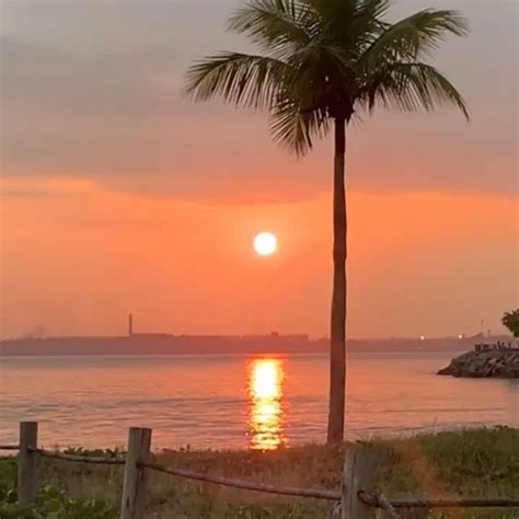 The Sun Is Setting Behind A Palm Tree