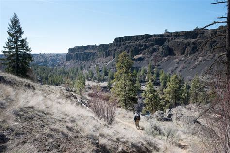 Hiking Northrup Canyon April 10 2021 The Spokesman Review