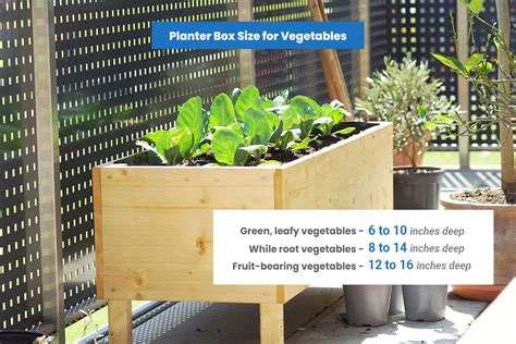 planter box dimensions sizes  vegetables herbs windows trees