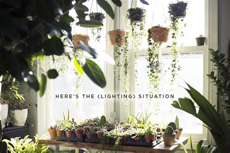 Bright Indirect Light Indoor Plants Direct Light Generally Direct Sunlight Refers To