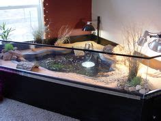 13 New turtle habitat ideas | turtle habitat, turtle tank, turtle