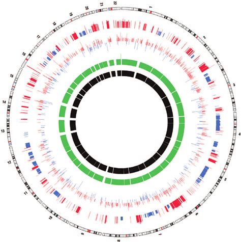 Circos Plot Incorporating Differential Gene Expression And LOH