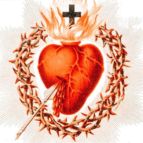Efficacious Novena to The Sacred Heart of Jesus – Truth for Souls