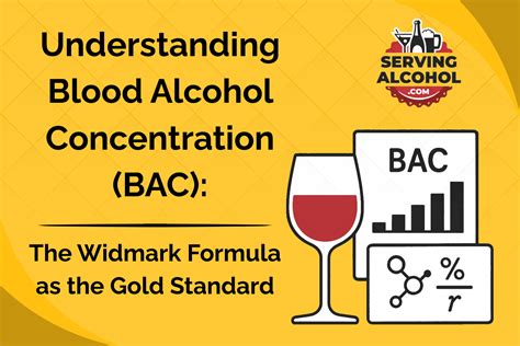 7 Simple Steps To Stay Sober: A Beginner's Guide To Calculating Blood Alcohol Concentration