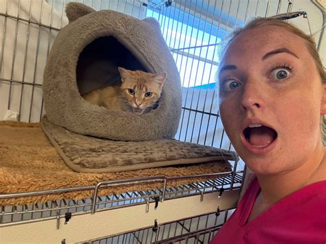 Adopt a Citrus County Animal Shelter Pet - *Sponsored Adoption Fee