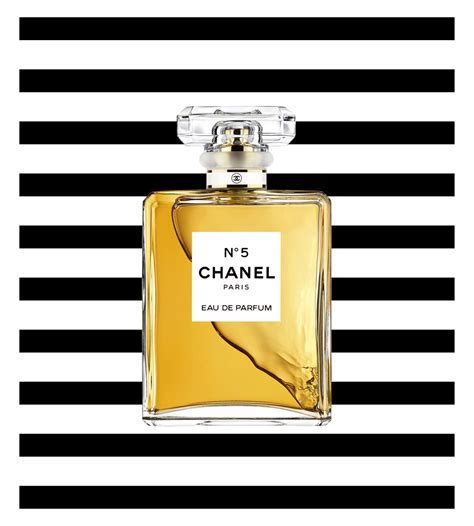 Download Chanel Pictures | Wallpapers.com