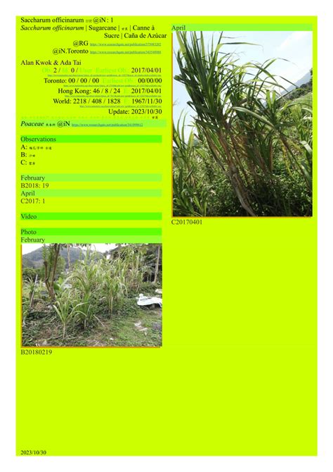 Pdf Saccharum Officinarum 甘蔗 In