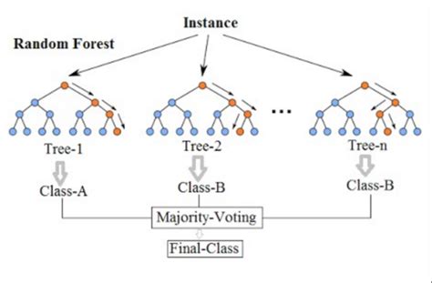 Difference Between Decision Tree And Random Forest