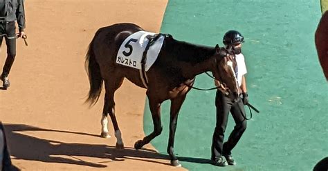 【穴党必見】素人競馬のつぶやき～日本ダービー（g1）考察④～｜つとむ