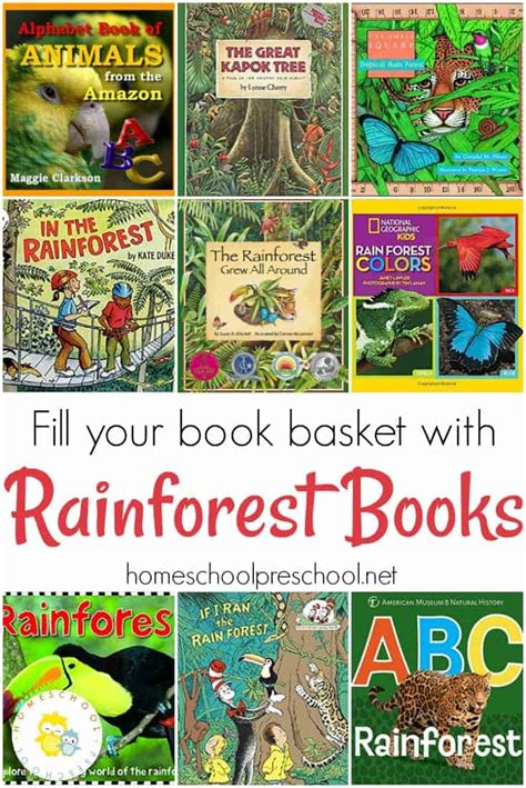 Rainforest Layers For Kids With Animals