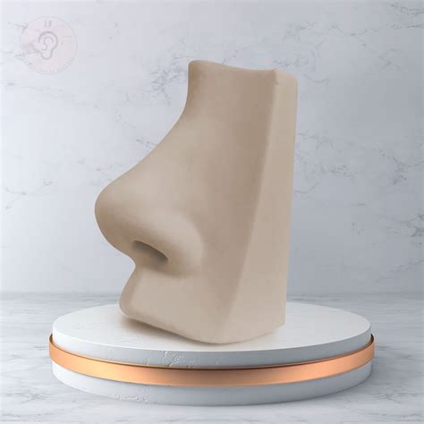 Kit Expositor Orelha Oval Nariz Umbigo Nude Expositores De Silicone