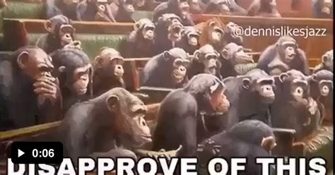 Monkey 9gag