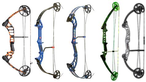 bows  bowfishing bowhuntingcom