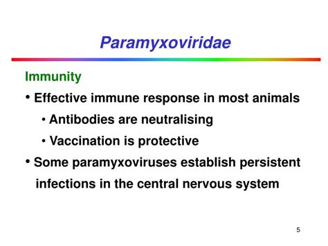 PPT - Paramyxoviridae PowerPoint Presentation, free download - ID:1290683