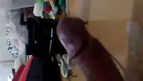 El Come Polla Free Solo Man Porn Video E Xhamster