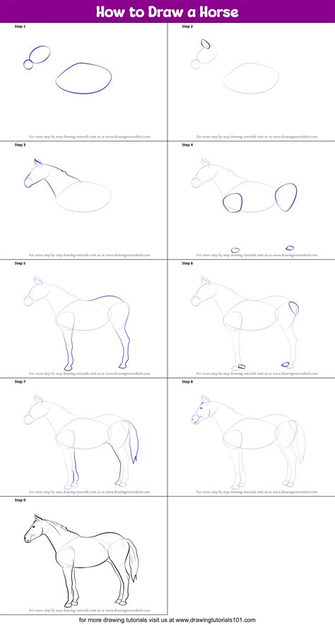 How To Draw A Horse Easy Step By Step How To Draw A Horse Step By Step