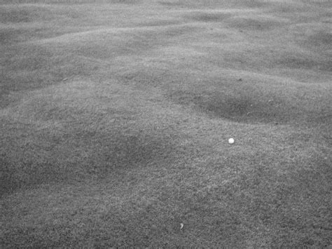 Make The Golf Course A Public Sex Forest The New Inquiry