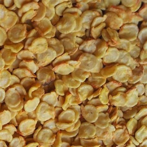 Chilli Habanero Seeds Extremely Hot And Flavourful Variety