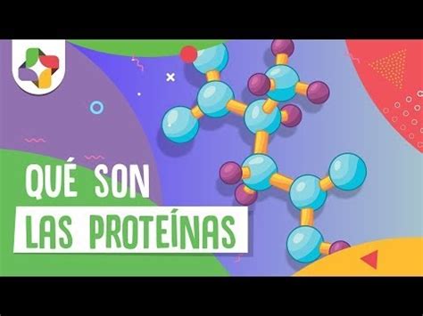 Introducción a las proteínas Biología Educatina