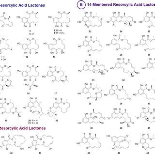 Structures Of Resorcylic Acid Lactones RALs A 12 Membered RALs