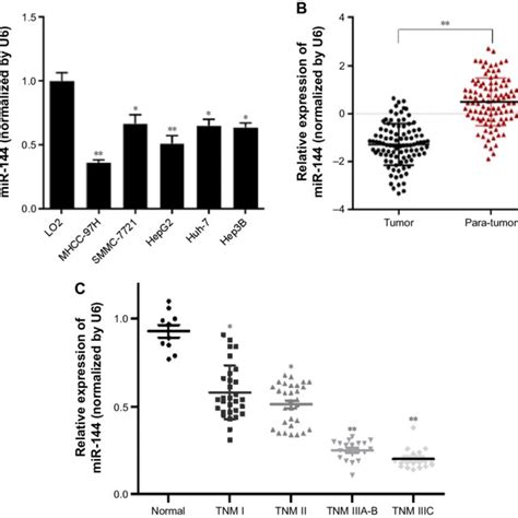 Downregulation Of Mir 144 In Hcc Tissues And Cell Lines Detected By