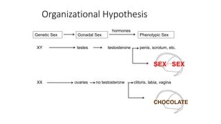How Do Sex Differences In Behavior Arise PPTX