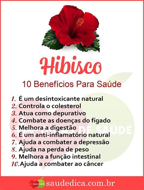 Qual O Benefício Do Hibisco - Os 10 Benefícios do Hibisco Para Saúde! | Dicas de saúde, Beneficios do ...