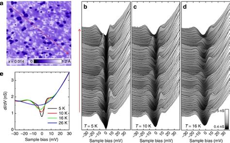 Visualizing The Microscopic Coexistence Of Spin Density Wave And