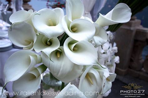 Elegant White Calla Lilies Bouquet