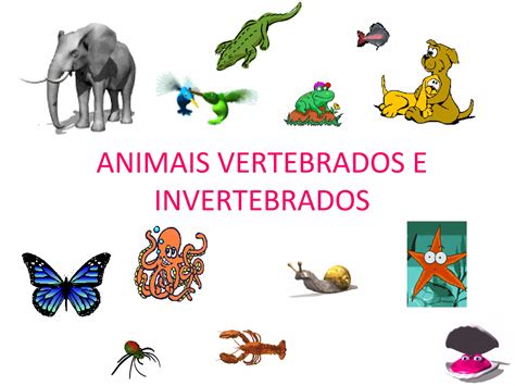 anim ai  vertebrados  invertebrados odp