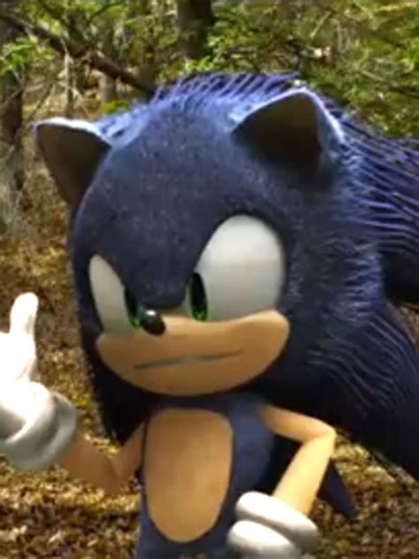 Filme Do Sonic O Ourico Na Vida Real Sonic 2: O Filme: Saiba Tudo