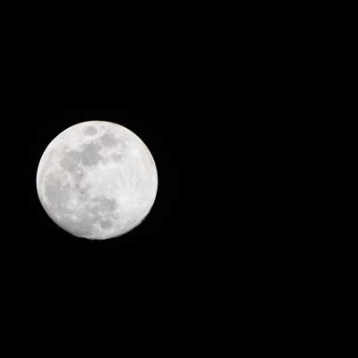 White Moon Stock Photos, Images and Backgrounds for Free Download
