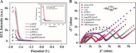 A Ecl Potential Profiles Of And B Eis Of Bare Gce A Cop Gce B Au