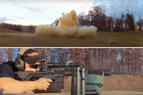 Watch Feral Hogs Explode When Hit With Tannerite Nsfw