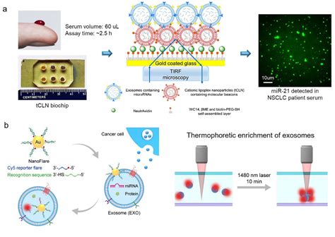 Figure 2 From Recent Advances In Nanotechnology Enabled Biosensors For