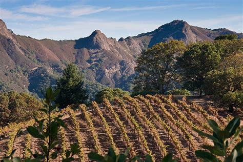 Rugged Rockpile Wine Country Getaways