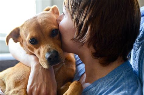 dog mouths cleaner  human mouths  dogman