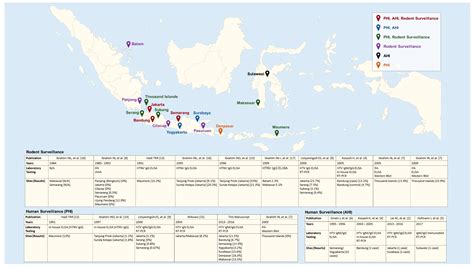 A Review of Hantavirus Research in Indonesia: Prevalence in Humans and