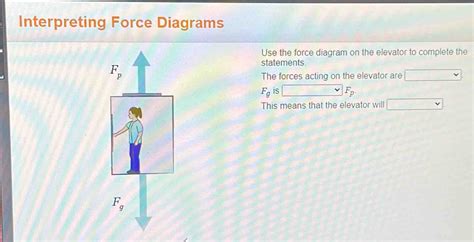 Interpreting Force Diagrams Use The Force Diagram On The Elevator To