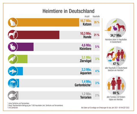 Top 9 Wie Viel Katzen Gibt Es In Deutschland 2022