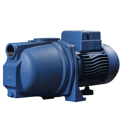 Reefe Rswe60t Shallow Well Jet Pump Only Reefe