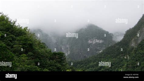 Misty Tropical Jungle Mountains Stock Photo Alamy