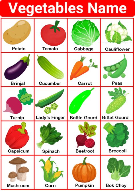list   vegetables   english