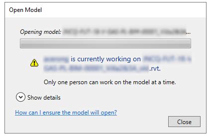 "Only one person can work on the model at a time" in Revit Cloud Model