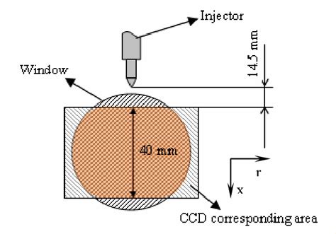 position  viewing area  scientific diagram