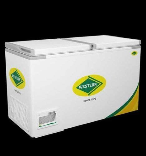 Frost Free And Manual Defrost Electric Western Deep Freezer Whf H At