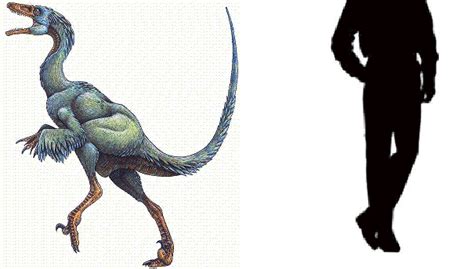 Troodon Wiki Acam Fandom